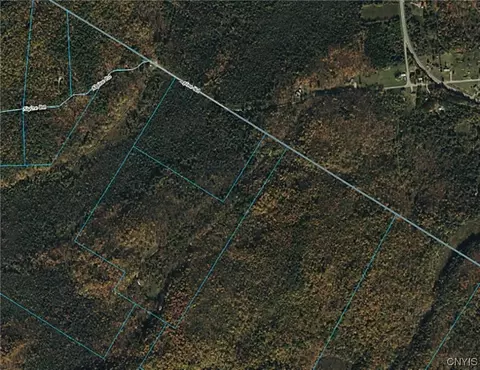 8006 Alpine Rd, Diana, NY 13648