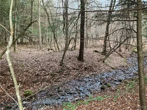 00 Co Hwy 16, New Lisbon, NY 13810
