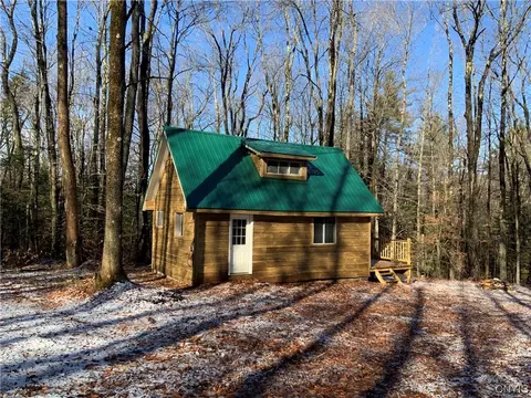 00 Irish Settlement Rd, Ephratah, NY 13329