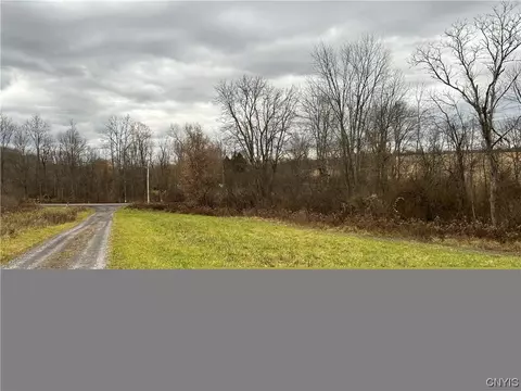 0 Oakland Rd, Brutus, NY 13166