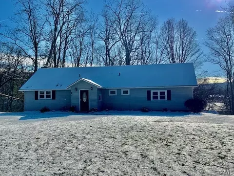 2224 Amber Rd, Otisco, NY 13110