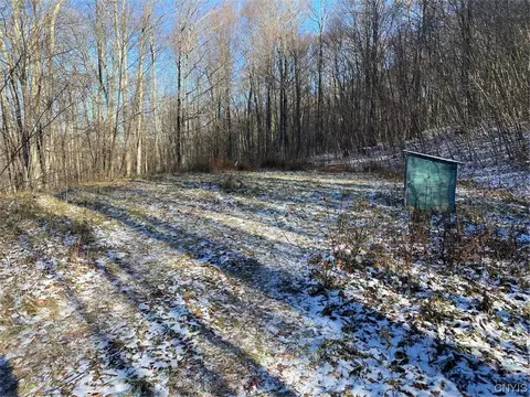 3392 Oak Hill Ridge Rd, Clarksville, NY 14727