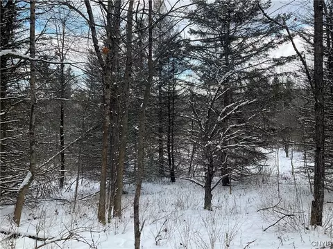 00 Curncross Rd, Smyrna, NY 13464
