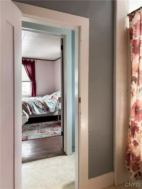 30 E Williams St, Waterloo, NY 13165 photo 14
