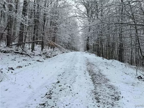 00 Co Road 38, Alma, NY 14708