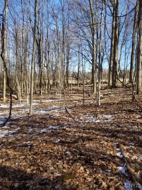 0 Off Mosquito Point Rd, Stockbridge, NY 13409