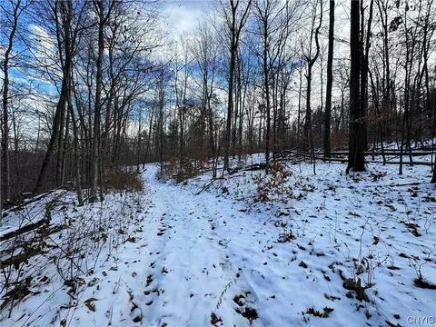00 Beechner Rd, Cohocton, NY 14826
