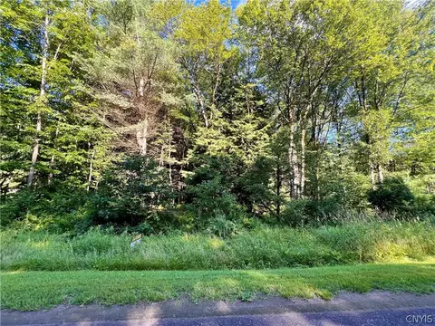 0 Burton Rd, Camden, NY 13316