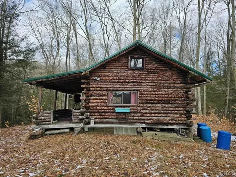 634 Ringwood Rd, Dryden, NY 14850