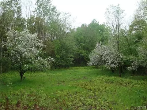 0 Co Rt 22, Albion, NY 13302