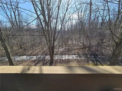 71 Watertree Dr, East Syracuse, NY 13057 photo 20