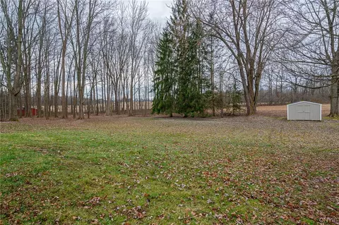 View/Area - 7819 River Rd, Lysander, NY 13027 photo 1 of 1