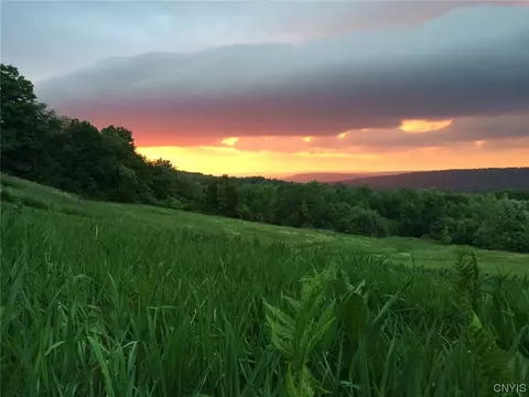 View/Area - 325 Mortz Rd, German Flatts, NY 13407 photo 5 of 7