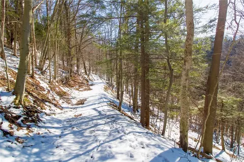 View/Area - 325 Mortz Rd, German Flatts, NY 13407 photo 6 of 7