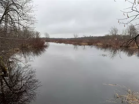 0 Old Mt Alone Rd, De Peyster, NY 13633