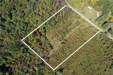 0 Williams Rd, Orange, NY 14815