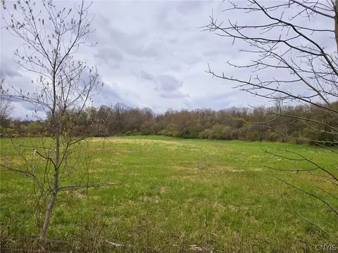 lot11 Shepherd Rd, Brutus, NY 13166