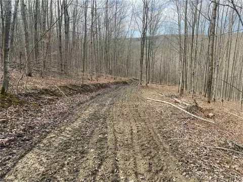 3356 Joe Mcmahon Rd, Birdsall, NY 14709