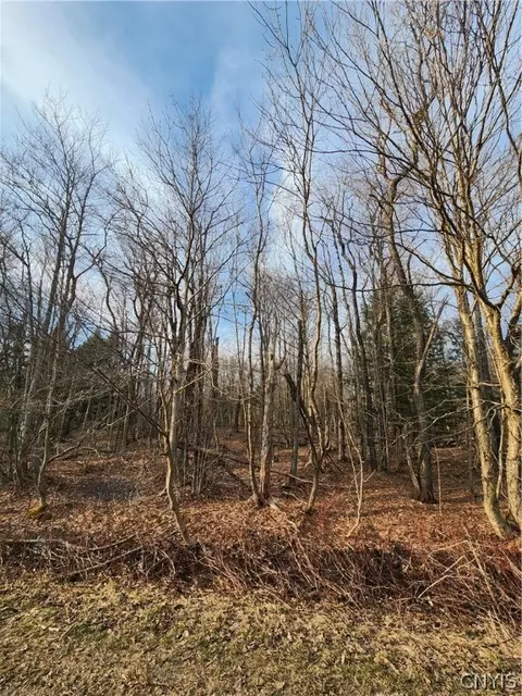 000 Jess Dr, Redfield, NY 13437