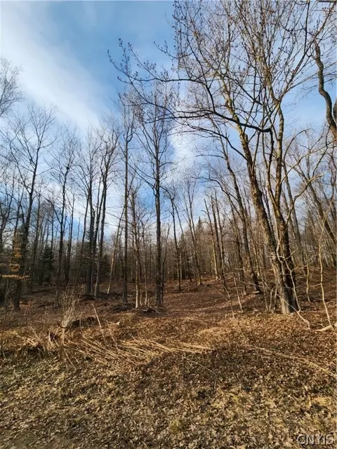 0000 Jess Dr, Redfield, NY 13437