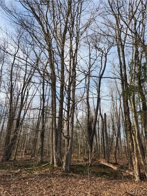 00000 Jess Dr, Redfield, NY 13437