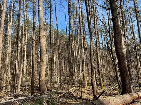 01 Glenn Rd, Watson, NY 13367 photo 3