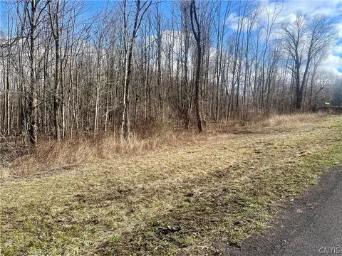 254 Lot 1 Kent Rd, Hannibal, NY 13156