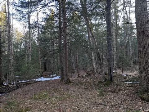 9304 Bear Hollow Rd, Watson, NY 13367