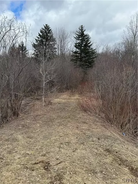 0 County Route 17, Redfield, NY 13437