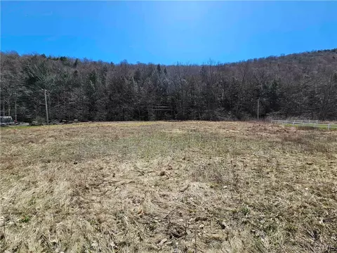 00 Rt-392, Virgil, NY 13045