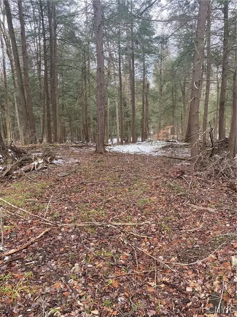 L21 Wylie-horton Road, Greene, NY 13778