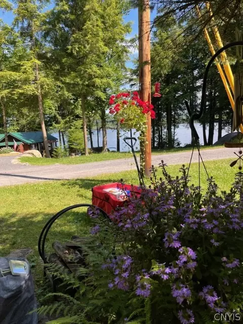 View/Area - 126 Ramblers Lodge Rd, Webb, NY 13420 photo 1 of 4