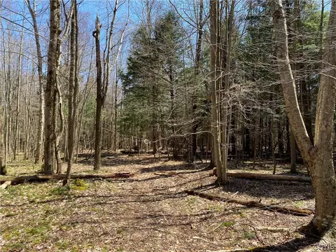 3258 Howlett Rd, Eaton, NY 13334