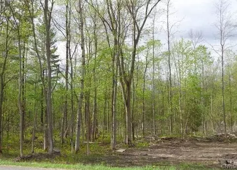 0 State Route 49, Schroeppel, NY 13132 photo 3