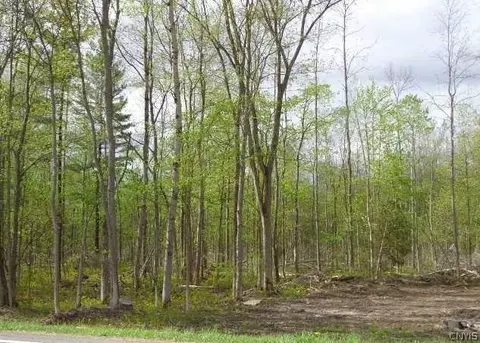 0 State Route 49, Schroeppel, NY 13132 photo 5