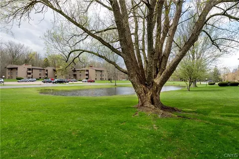 View/Area - 39 Watertree Dr, East Syracuse, NY 13057 photo 2 of 4