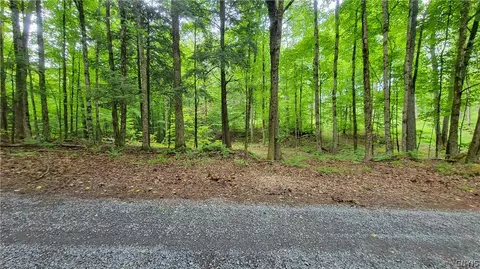7710 White Pine Ln, Watson, NY 13343
