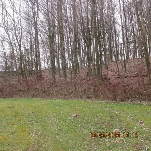 115 Owens Ln, German Flatts, NY 13407 photo 3