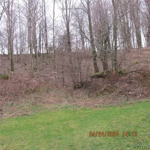 115 Owens Ln, German Flatts, NY 13407 photo 15