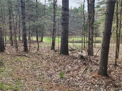 7542 Heller Rd, Watson, NY 13343 photo 6