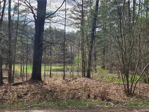 7542 Heller Rd, Watson, NY 13343 photo 16