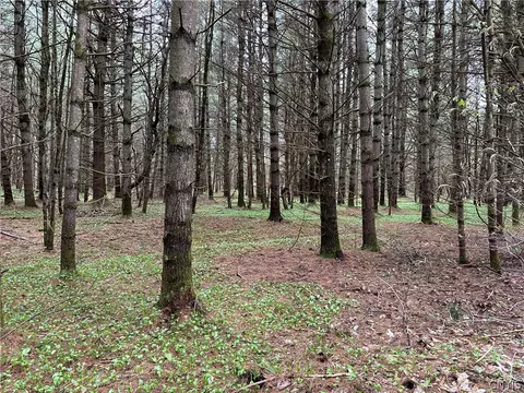 0 Rt-8, Ohio, NY 13324