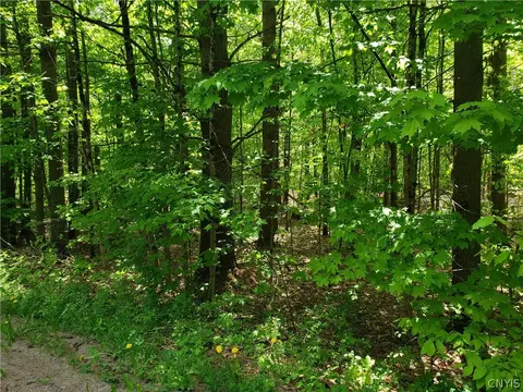 000 Pennysettlement Rd, Lyonsdale, NY 13368