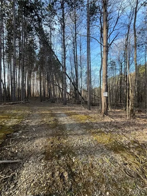 22737 Dobbins Rd, Rodman, NY 13682