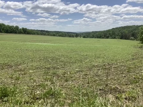 370 Arnold Rd, Lisle, NY 13797
