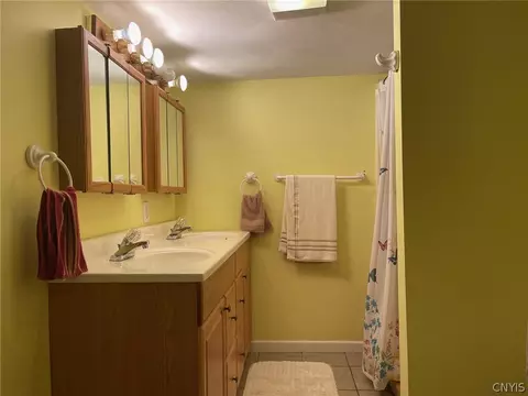 233 Coe Ave, Oneida, NY 13421 photo 38
