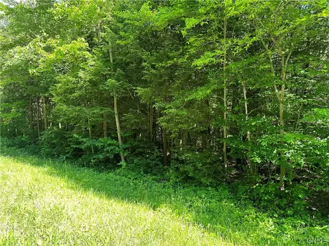 0 Bateman Rd, Volney, NY 13069