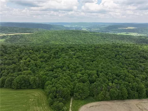 L2 Kenney Brook Road, Truxton, NY 13158