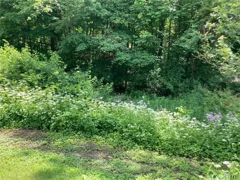 190 Marshman Rd, Fenton, NY 13746 photo 3