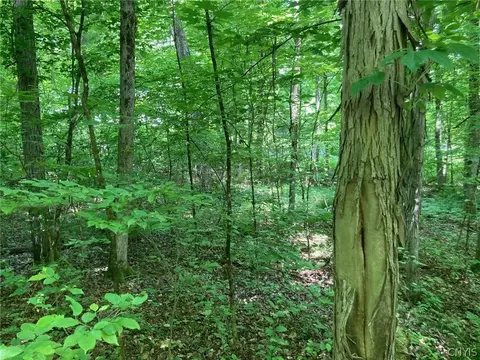 190 Marshman Rd, Fenton, NY 13746 photo 5